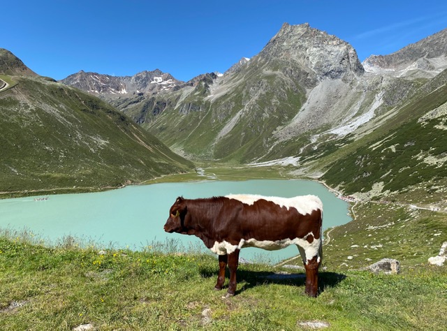 Wanderurlaub: Einmal Pitztal und zurück ...