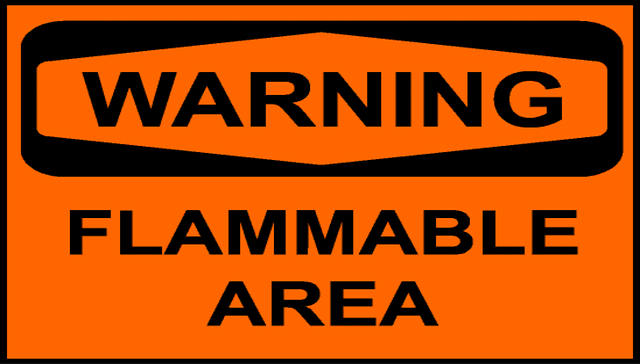 Feuer, Flausch und Fettnäpfchen: Ein Nachmittag mit Hektor