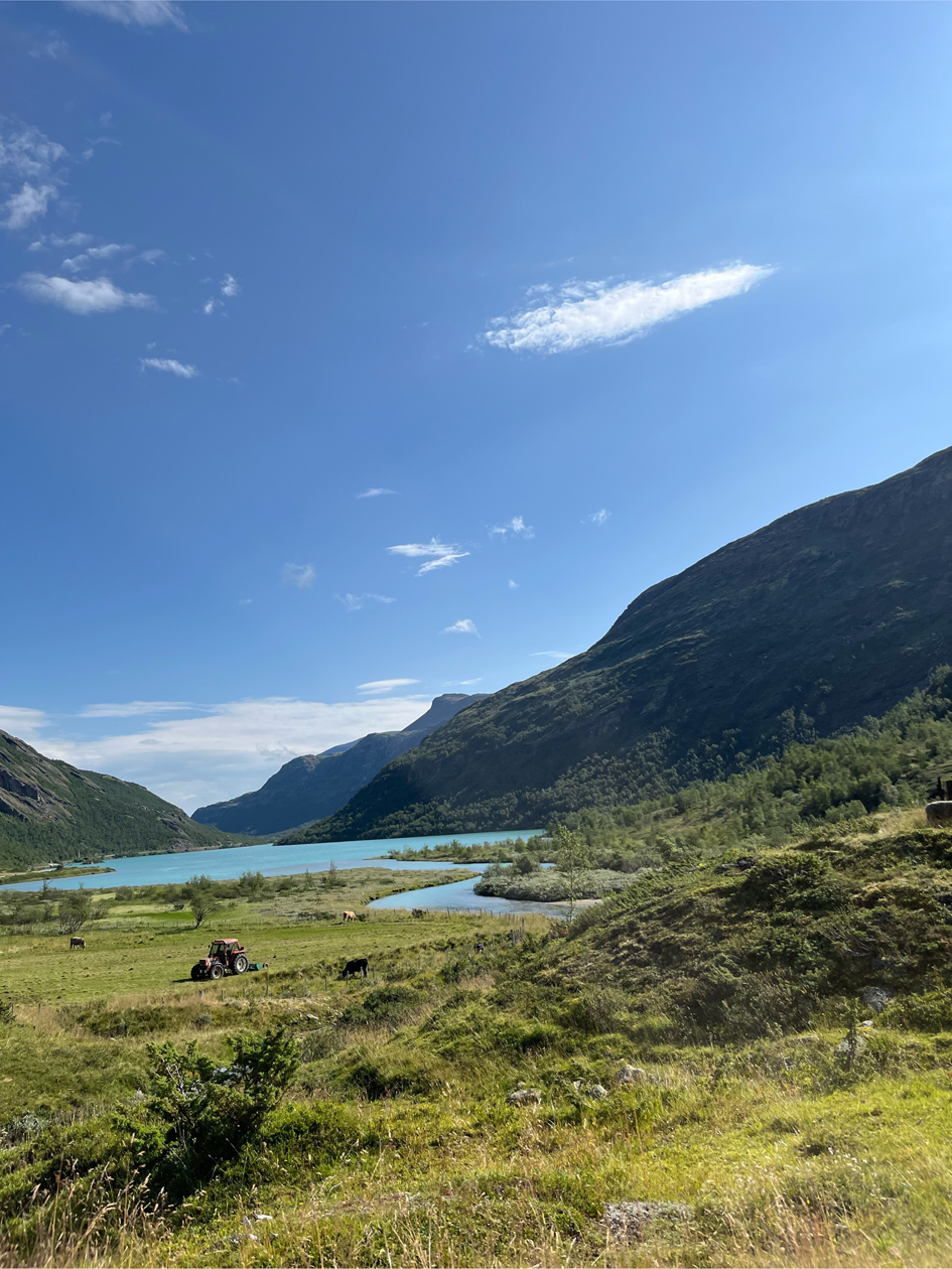 Roadtrip Tag 5 – Von Årdalsvangen nach Valldal (Sylte)
