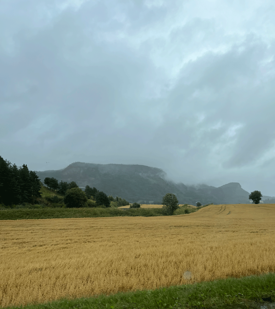 Roadtrip Tag 7 – Von Orkanger nach Mo i Rana