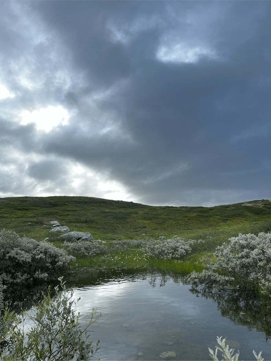 Roadtrip Tag 8 – Von Mo i Rana auf die Lofoten