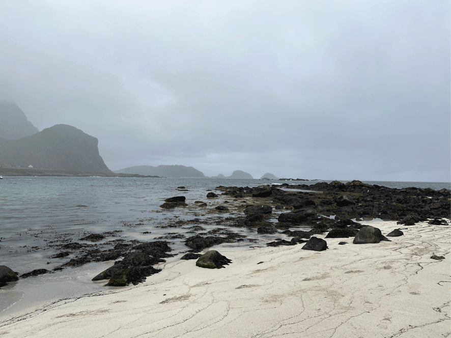 Roadtrip Tag 8 – Von Mo i Rana auf die Lofoten