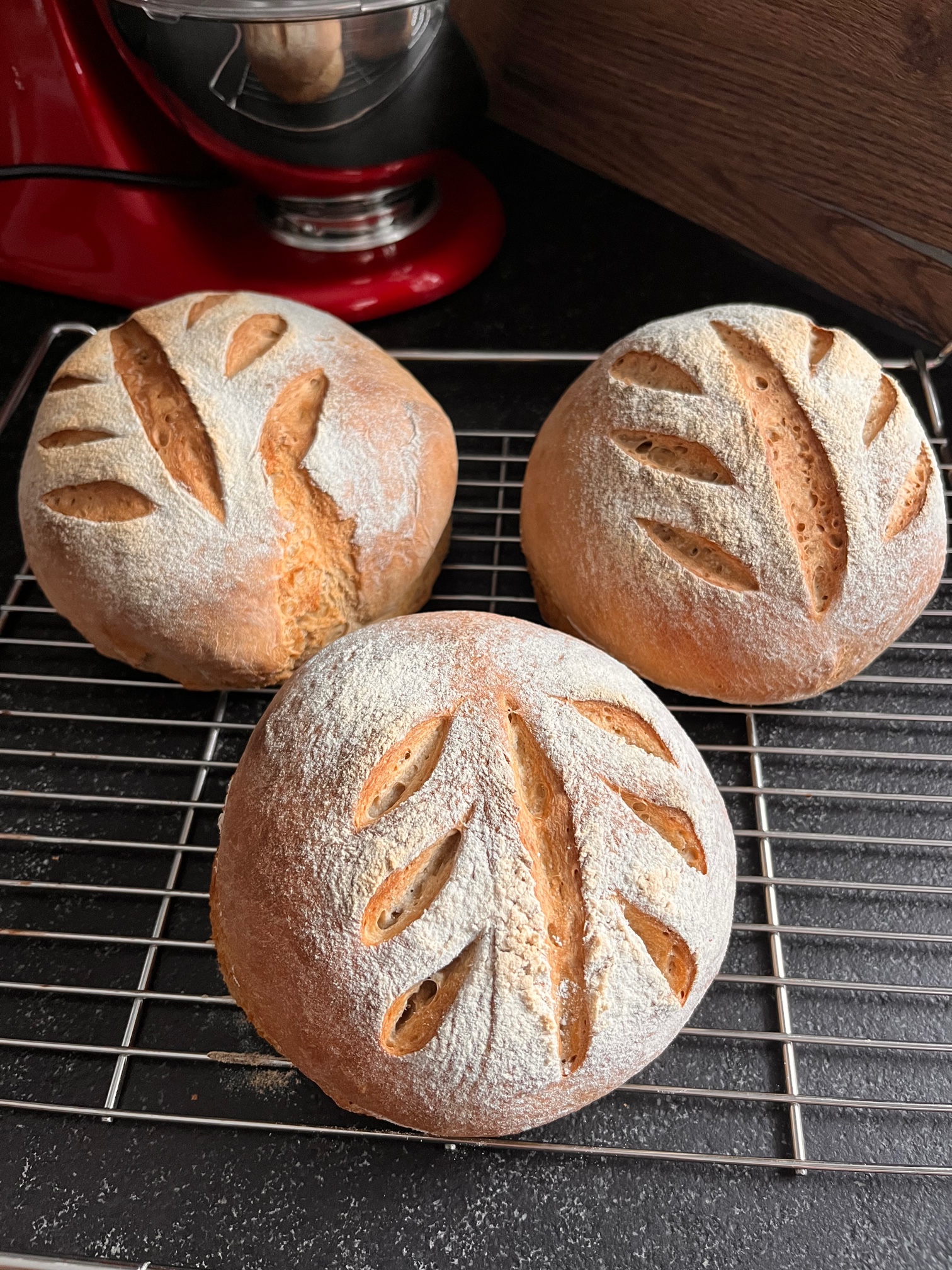 Von Brotduft, erotischen Szenen und einem viel zu wachsamen Bücherdrachen