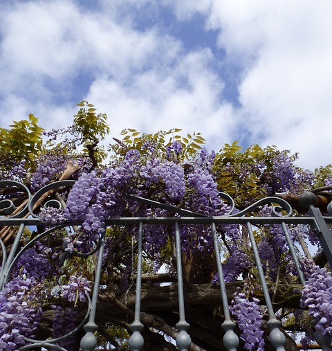 Wenn Historie auf Quote trifft: Meine Netflix-„Bridgerton“-Kritik