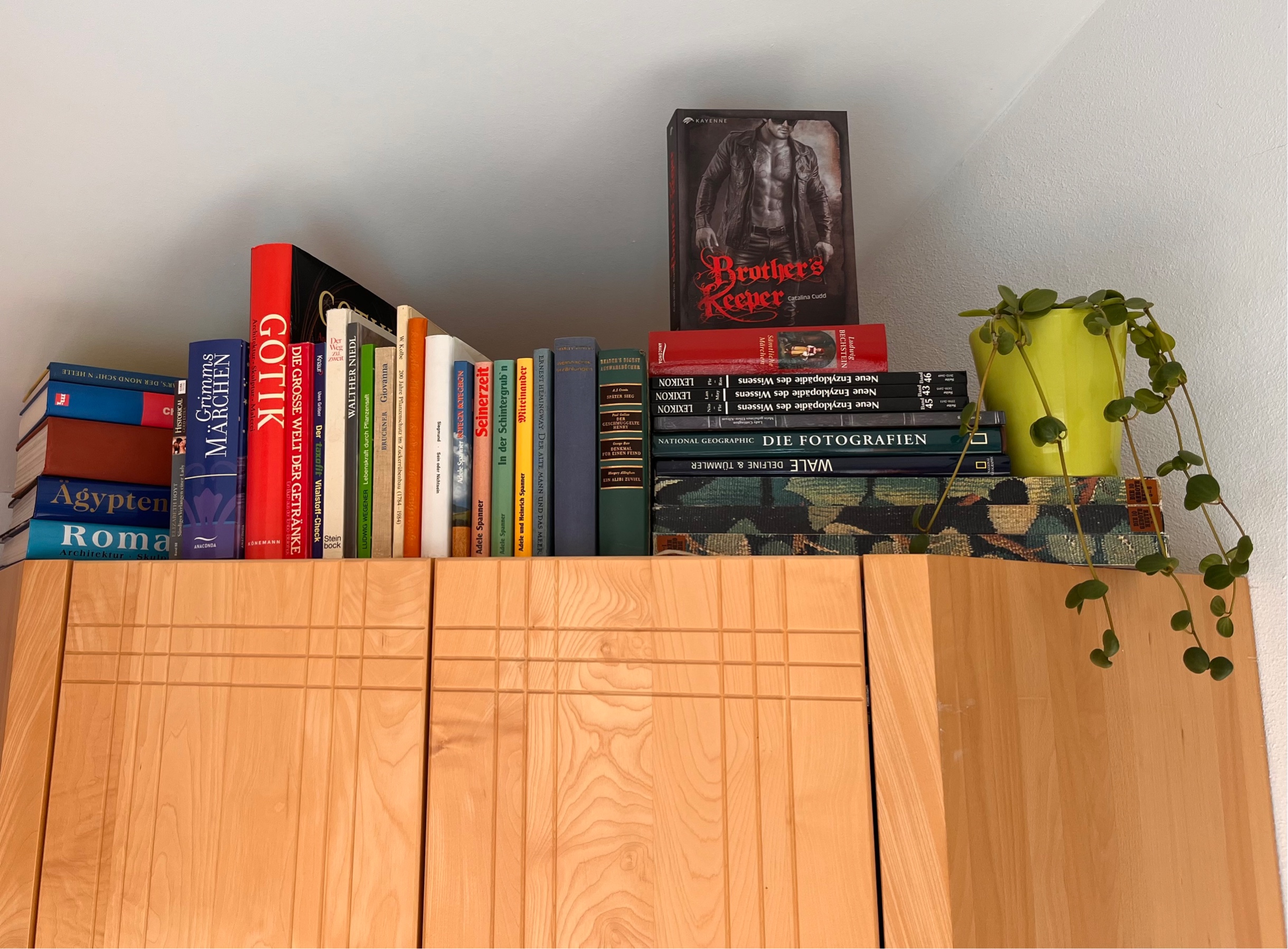 Wenn dein Bücherregal plötzlich ein Quantenchaos wird…