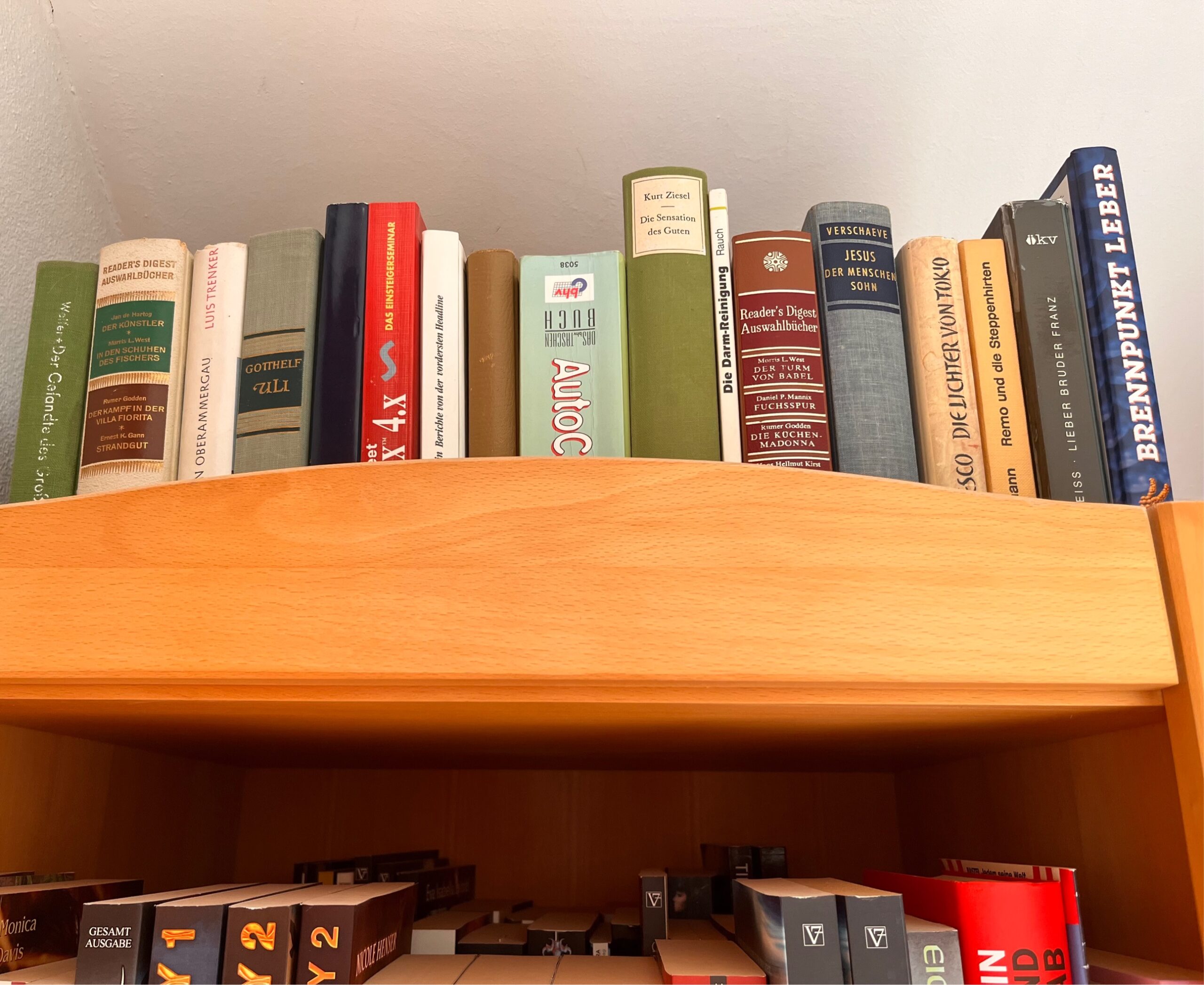 Wenn dein Bücherregal plötzlich ein Quantenchaos wird…