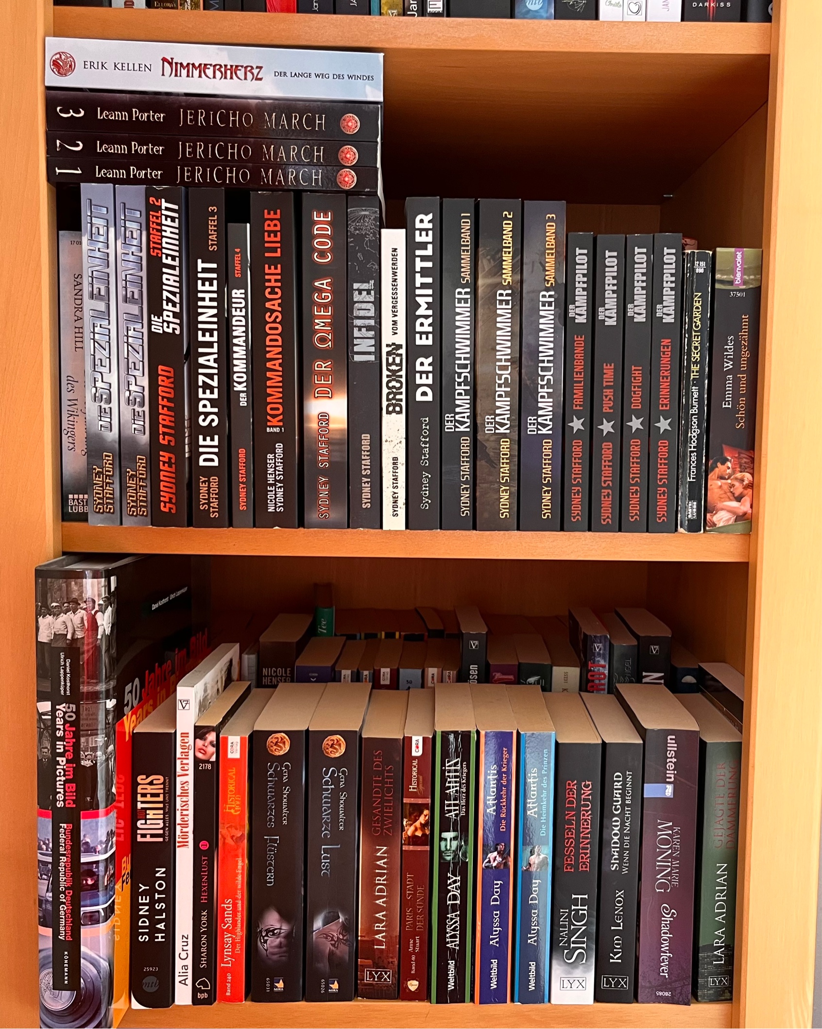 Wenn dein Bücherregal plötzlich ein Quantenchaos wird…