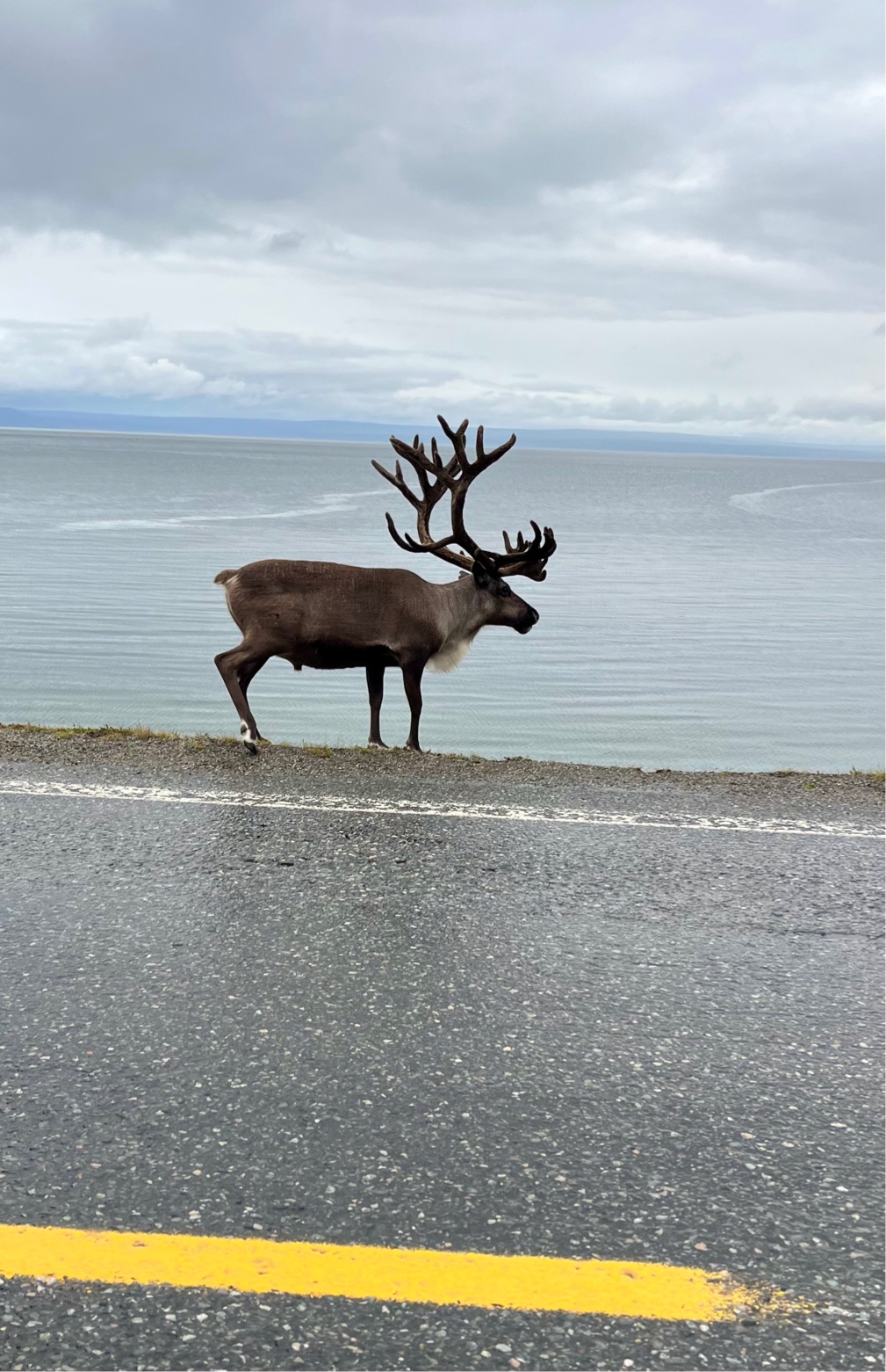 Roadtrip Tag 12 – Von Alta über Hammerfest ans Nordkap