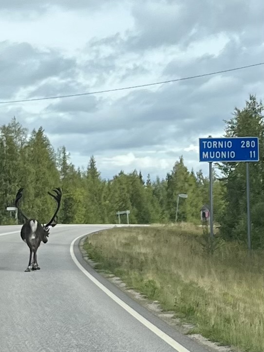 Rentier Städtetafel von Tornio und Muonio
