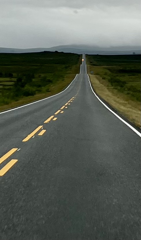 Gewellte Straße durch Norwegen wie ein Lindwurm